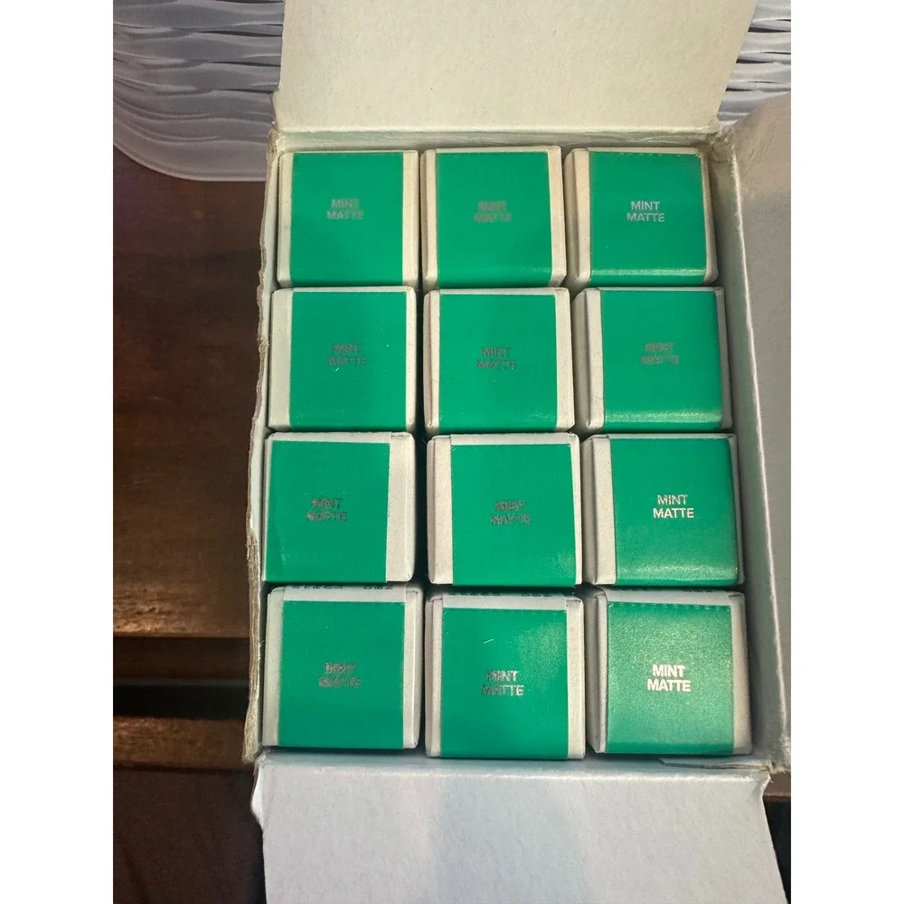 Haus Labs Color Correcting Hy-Power Pigment Paint Mint Matte CASE 12 Pack Bulk